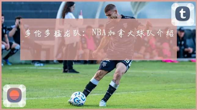 多伦多猛龙队：NBA加拿大球队介绍