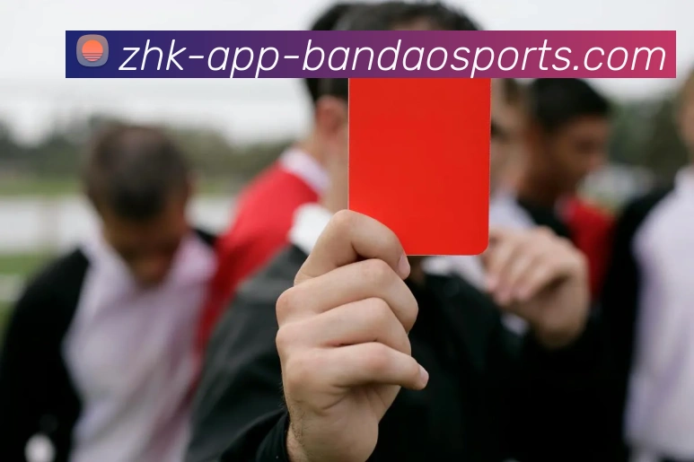 半岛体育APP 封面图